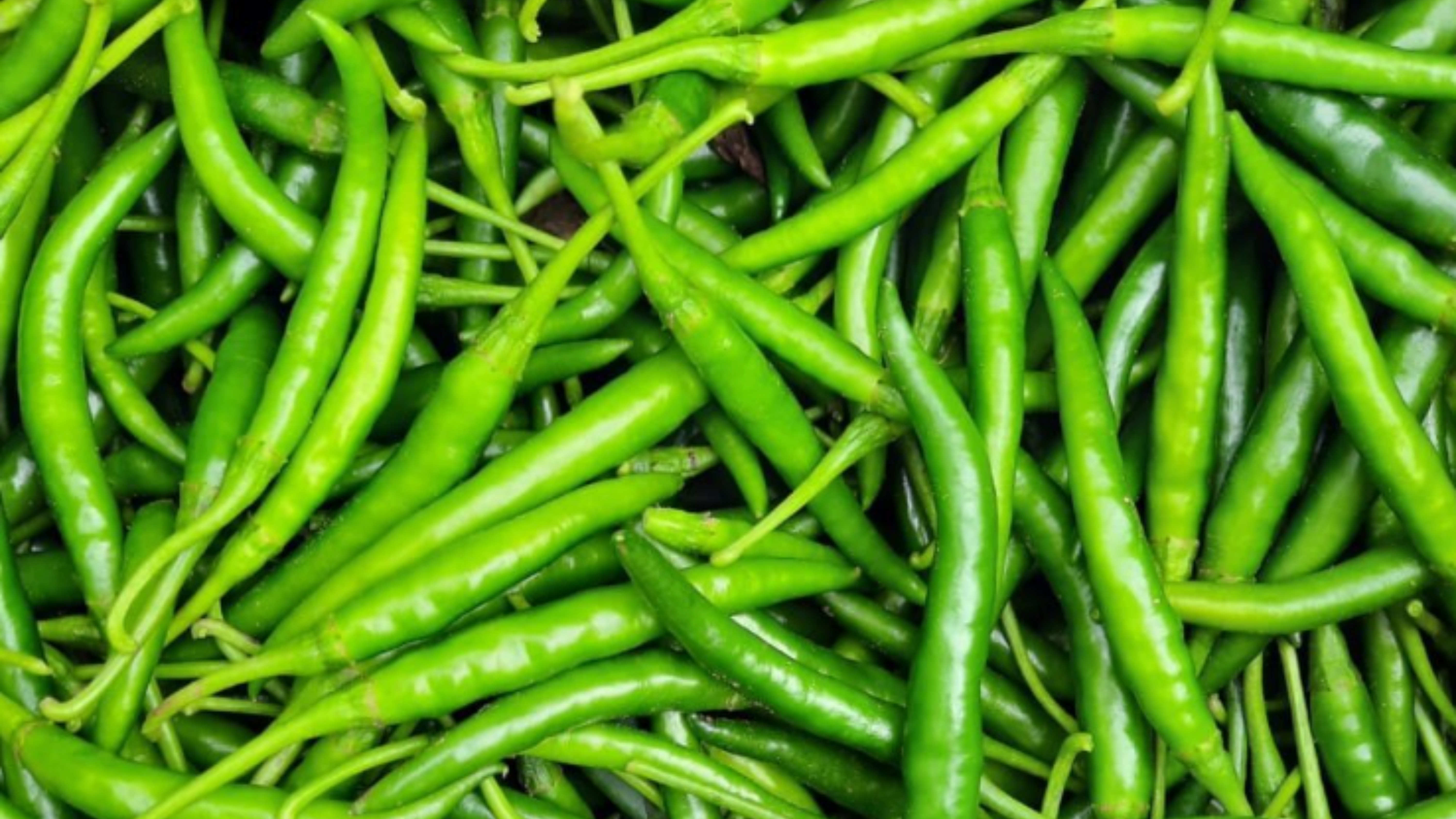 Green Chilli