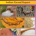 India’s Top Cereal Exports: A Global Perspective by Liberty Exports