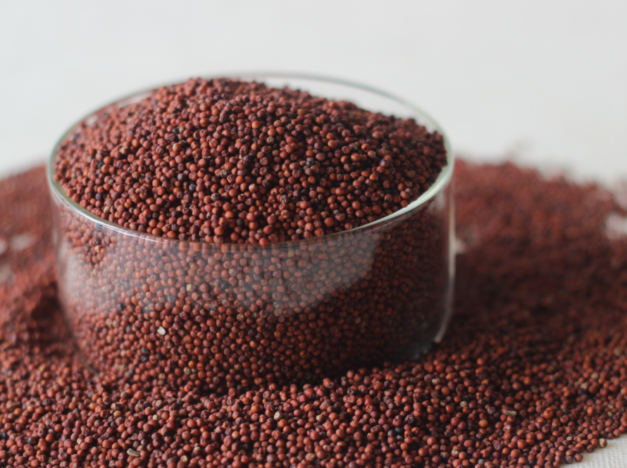 Finger Millet